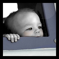 11.58x15.08 381a BnW tint